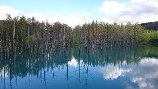 青い池2