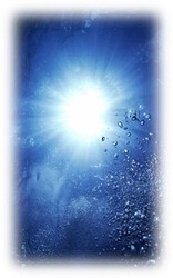 ふわりのブログ